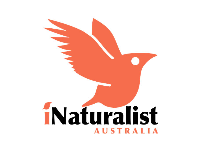 iNaturalist