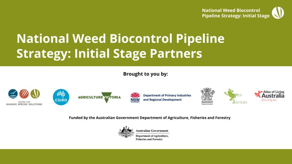 National Weed Biocontrol Pipeline Strategy Partners