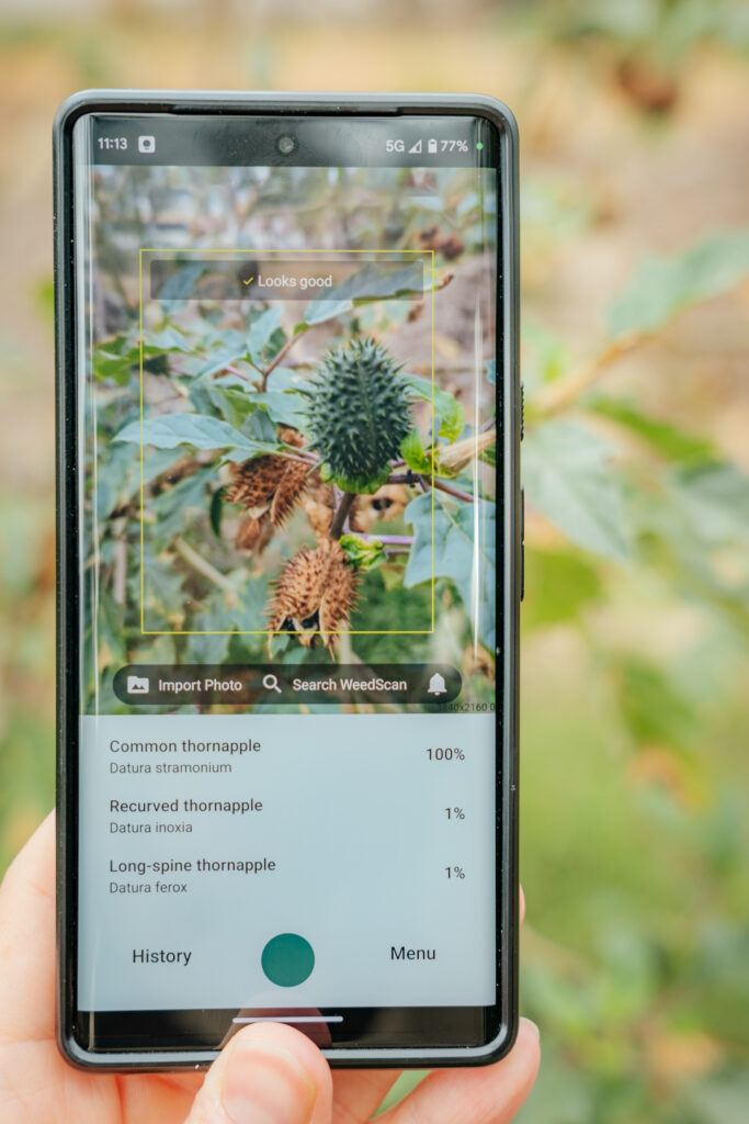 WeedScan 2.0 app interface.