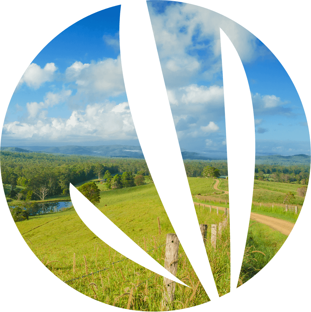 澳洲幸运5官网开奖历史记录-2026澳大利亚幸运5官方开奖结果记录体彩网-Weeds Australia Homepage – Green Field