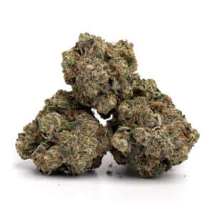 G13 Cannabis Strain