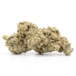 Gelato Strain for Sale | Weed Online Store