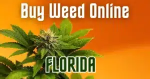 Buy Weed Online Florida: Marijuana Delivery FL | Weed Online Store
