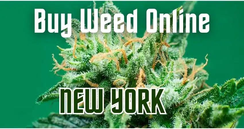 Buy Weed Online New York | Weed Online Store