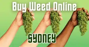Buy Weed Online in Sydney, Australia: A Complete Guide