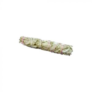 4.5" Small White Sage Bundle