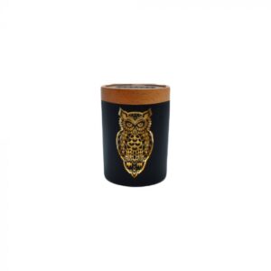 V Syndicate SmartStash Jar | Small | Owllusion Orange